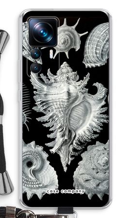 Haeckel Prosobranchia