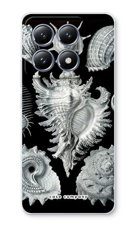 Haeckel Prosobranchia