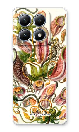 Haeckel Nepenthaceae