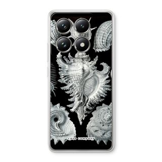 Haeckel Prosobranchia