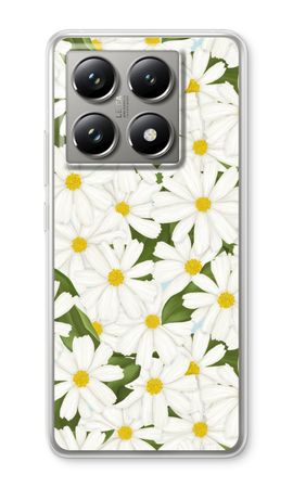 Summer Daisies
