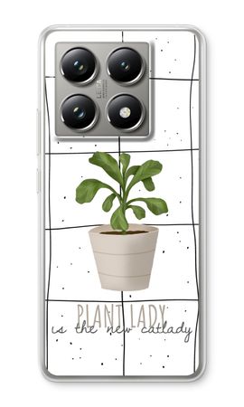 Houseplant on windowpane