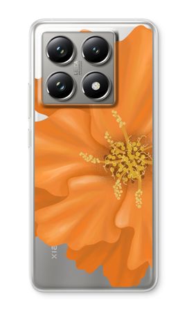 Orange Ellila flower