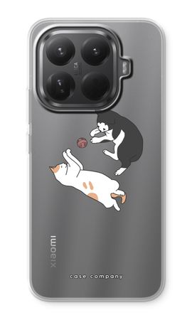 Playing cats