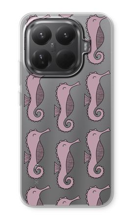 Cavalli marini