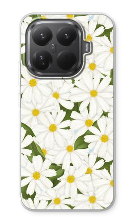 Summer Daisies