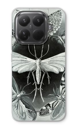 Haeckel Tineida
