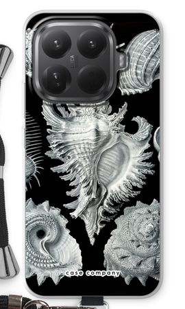 Haeckel Prosobranchia