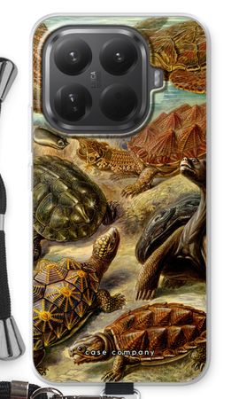 Haeckel Chelonia