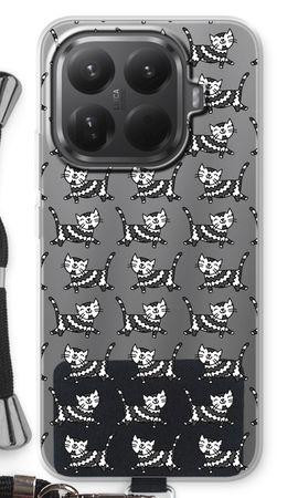 Black cat