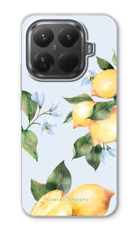 Orchard Sun