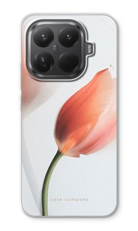 Tulip