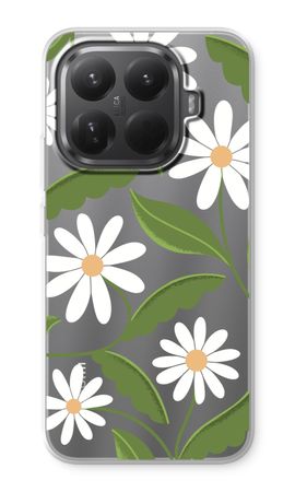 Daisies All Over