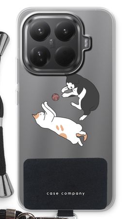 Playing cats