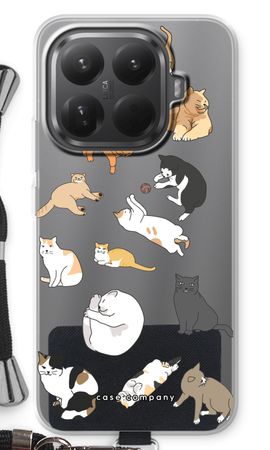 Cats