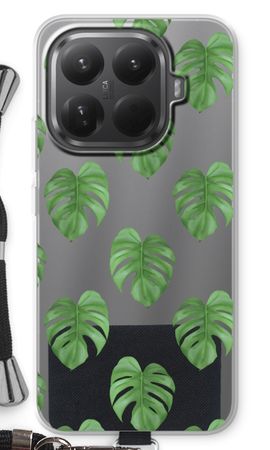 Monstera leaves