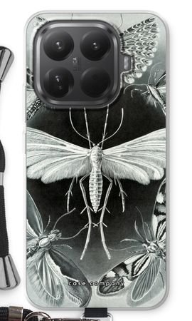 Haeckel Tineida