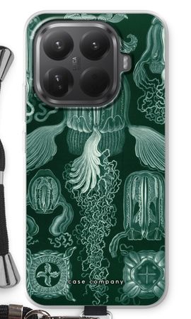 Haeckel Cubomedusae