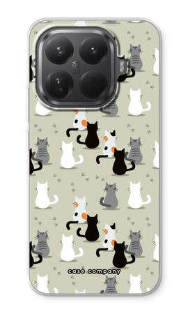 Cats