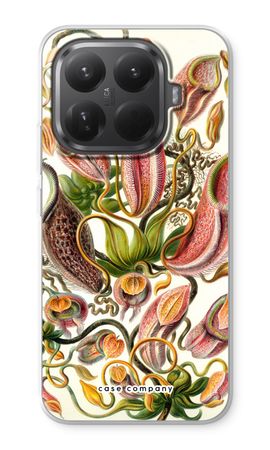 Haeckel Nepenthaceae