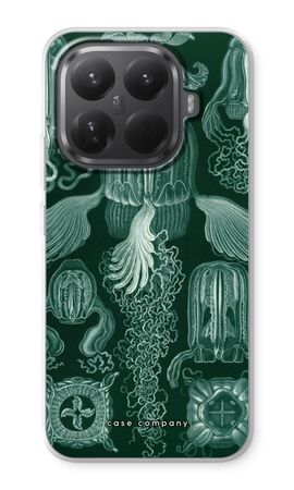 Haeckel Cubomedusae