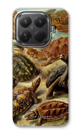 Haeckel Chelonia