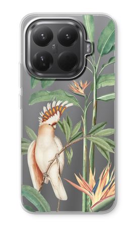 Tropical Parrot