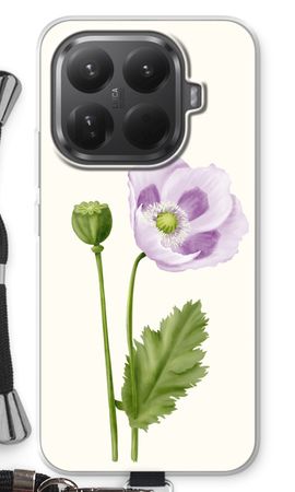 Purple poppy