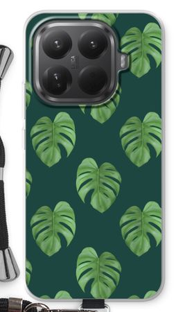 Monstera leaves