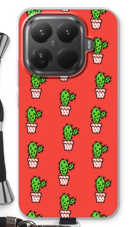 Mini cactus
