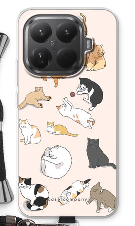 Cats