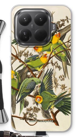 Carolina Parrot