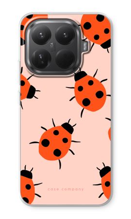 Ladybugs