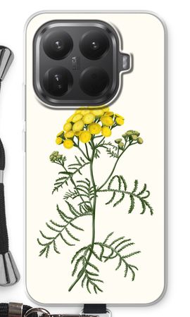 Tansy