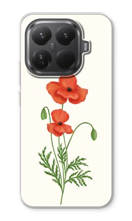 Red poppy