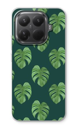 Monstera leaves