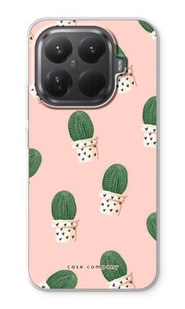 Cactus rose