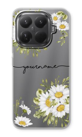 Daisies