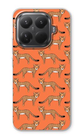 Cheetah