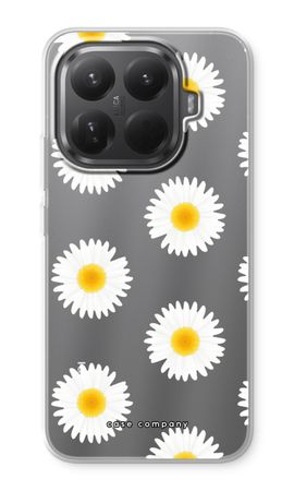 Daisies