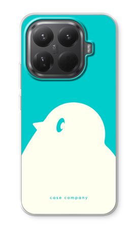 BIG Robin 2