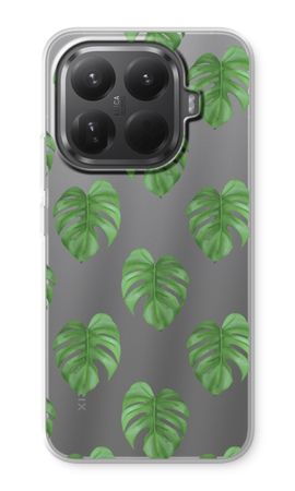 Monstera leaves