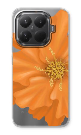 Orange Ellila flower