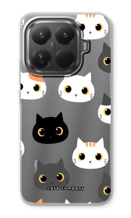 Cats