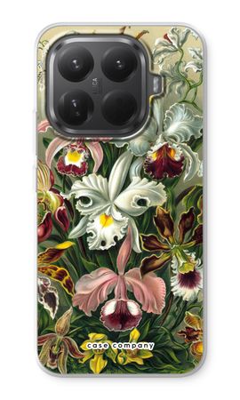 Haeckel Orchidae
