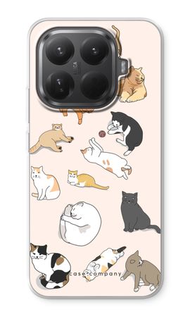 Cats