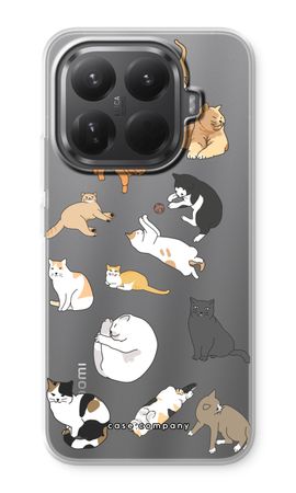Cats