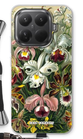 Haeckel Orchidae