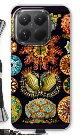 Haeckel Ascidiae