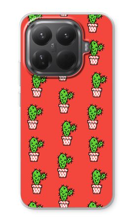Mini cactus